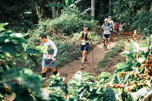 BIB: 
                            <button type="button" onclick="openModal(25852767)" class="btn btn-primary btn-sm float-right btn-popup" data-toggle="modal" data-target=".modal-high-quality">
                        <i class="fas fa-shopping-cart"></i> Add to Cart
                    </button>
                                            <button type="button" onclick="isThisMe(25852767, true)" class="btn btn-success btn-sm float-right btn-popup btn-isme hidden" data-toggle="tooltip" data-placement="bottom" title="นี่คือรูปของคุณใช่ไหม คลิกที่นี่เพื่อเอาเข้าอัลบั้ม">
                        <i class="fas fa-plus"></i> Add to album
                    </button>
                    <button type="button" onclick="isThisMe(25852767, false)" class="btn btn-warning btn-sm float-right btn-popup btn-isnotme hidden">
                        <i class="fas fa-ban"></i> Remove from album
                    </button>